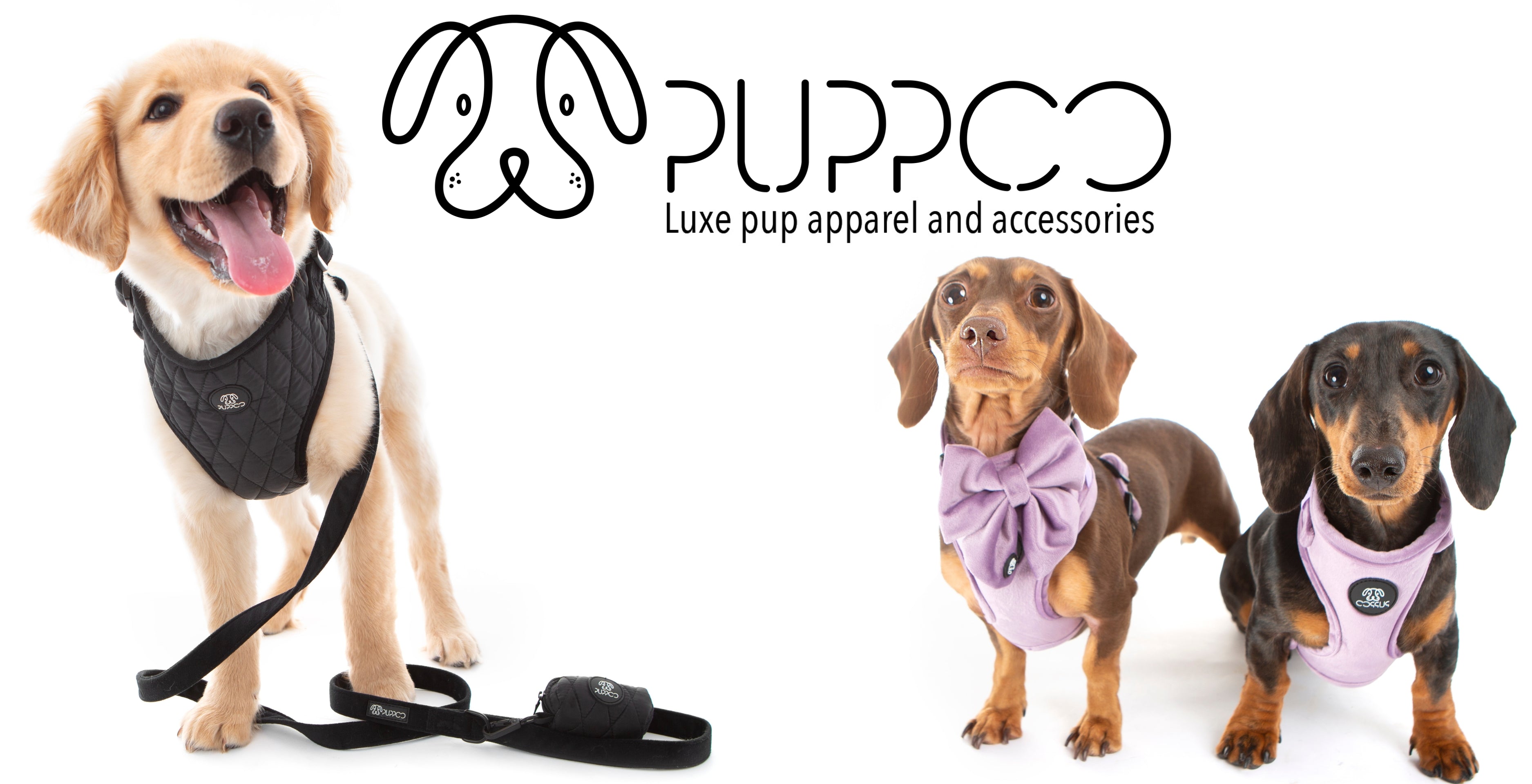 Quality Comfort for Your Best Friend Dog Harnesses Leads Collars Bowls PuppCo