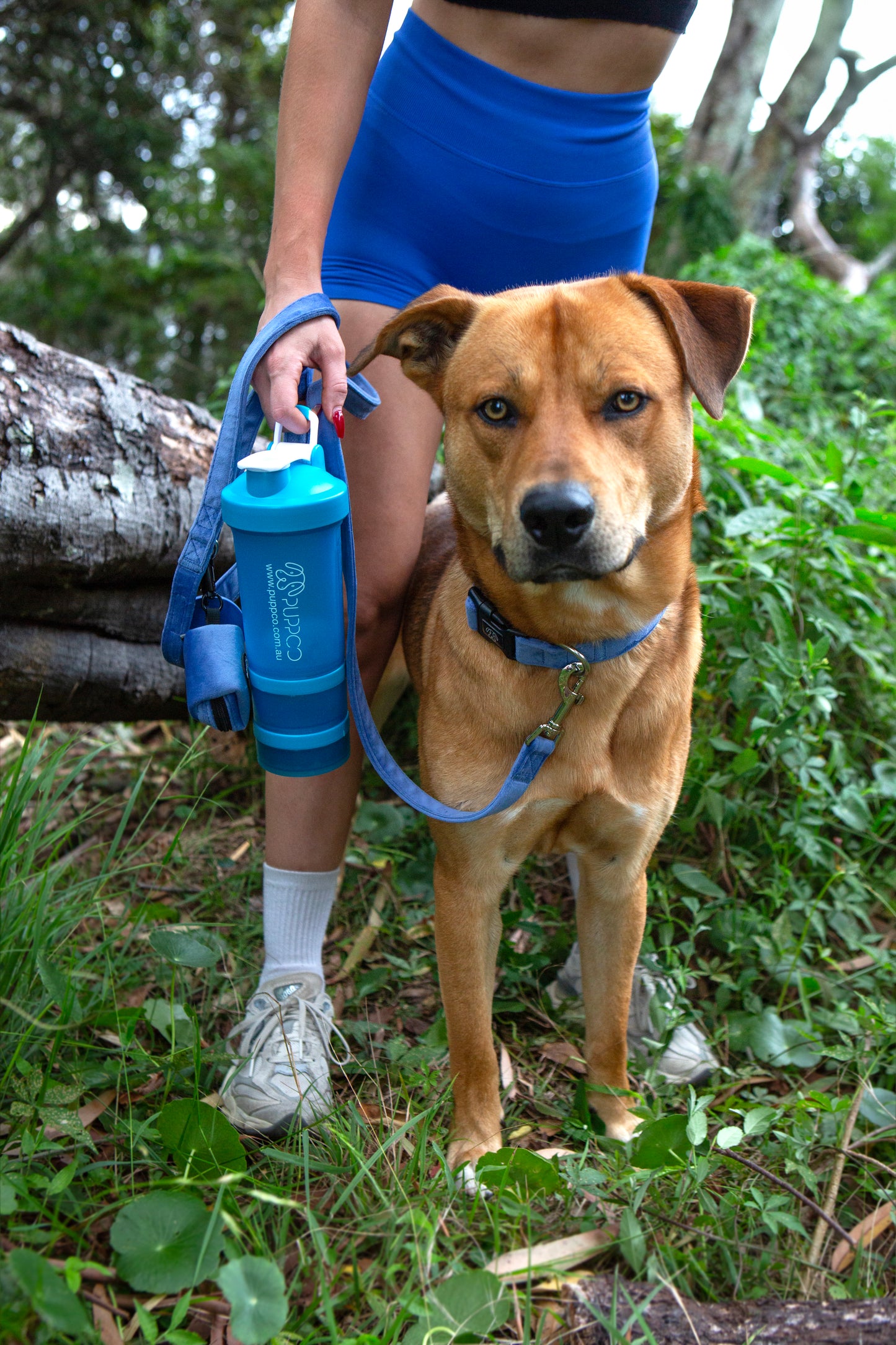 3in1 Pup Shaker