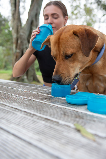 3in1 Pup Shaker