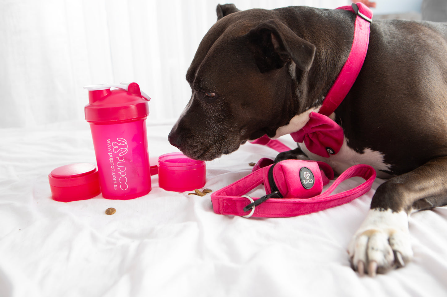 3in1 Pup Shaker