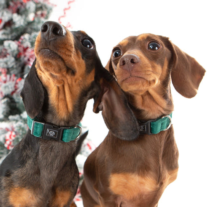 Deep Green Collar Bundle