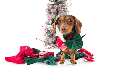 Christmas Collar Bundle