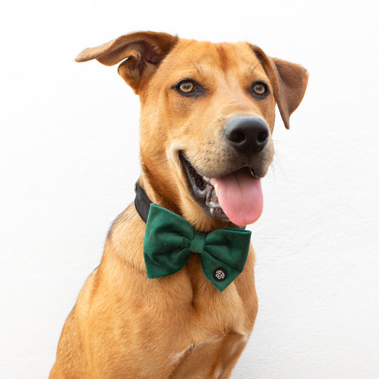 30% OFF! Large Green Velvet Bow Tie