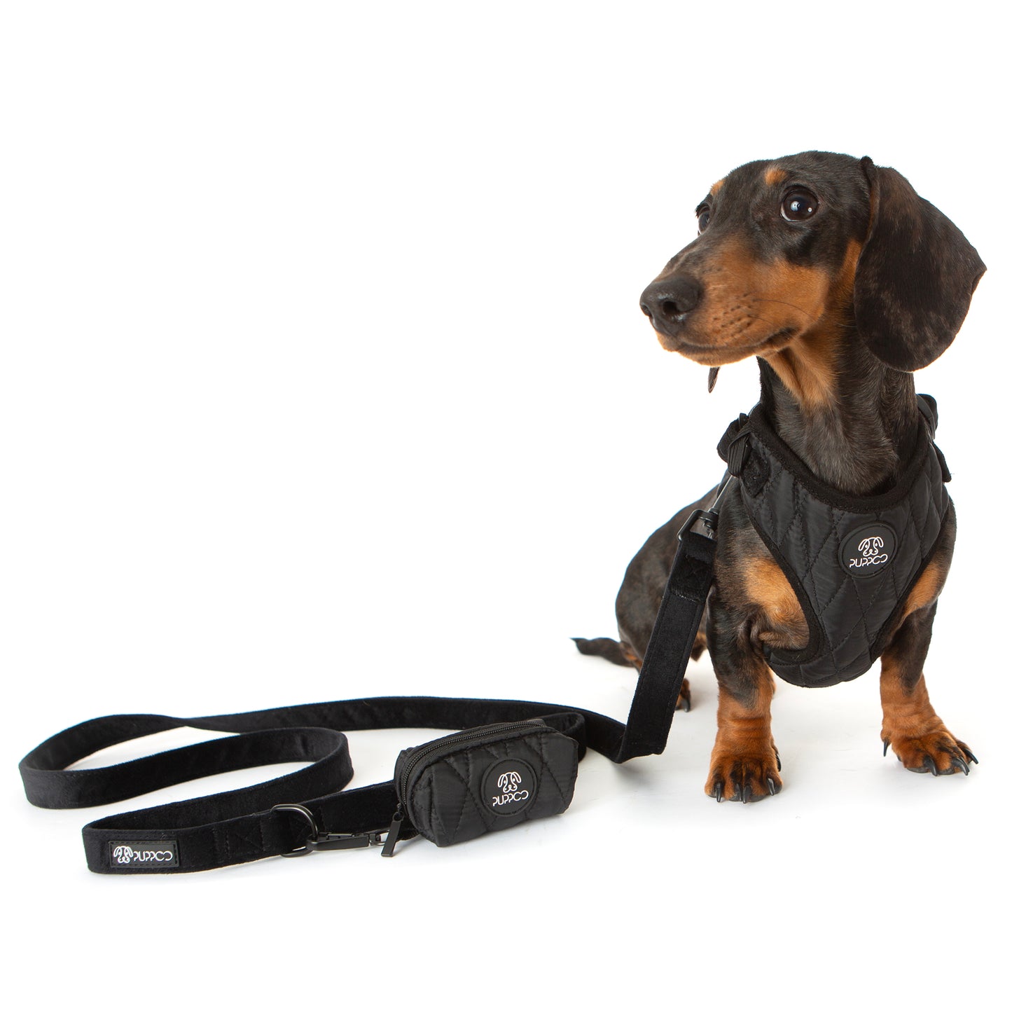 Pufferd Vest Dog Harness on mini dachshund 