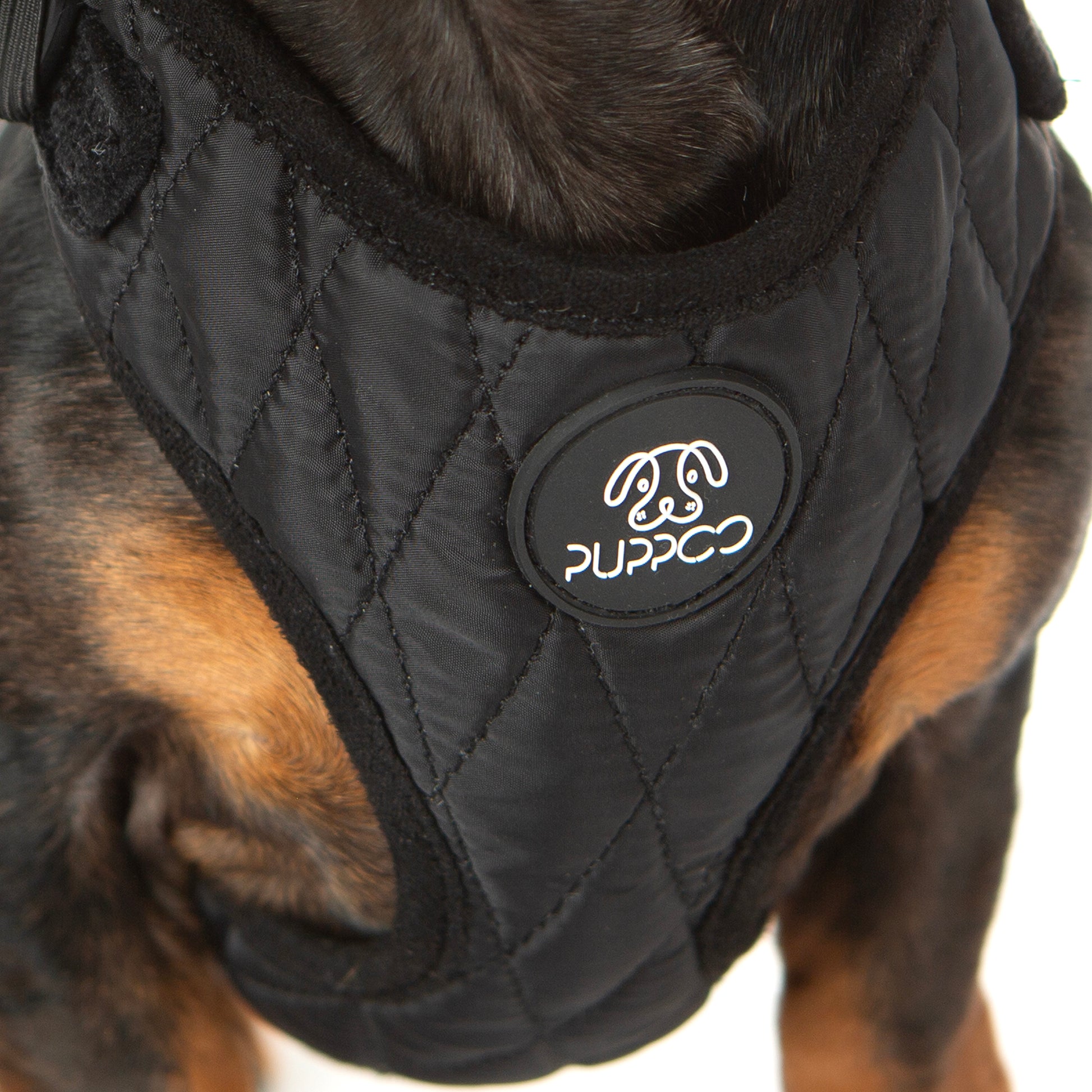 Puffer Vest dog harness close up