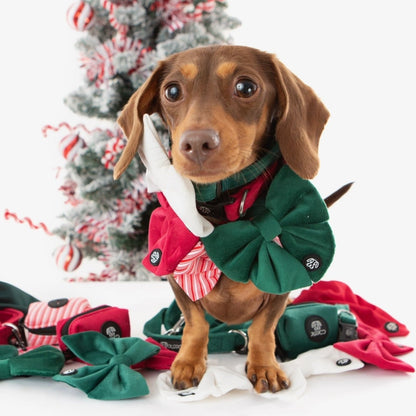 Christmas Collar Bundle