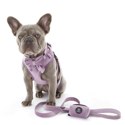 Lilac Velvet Harness Bundle