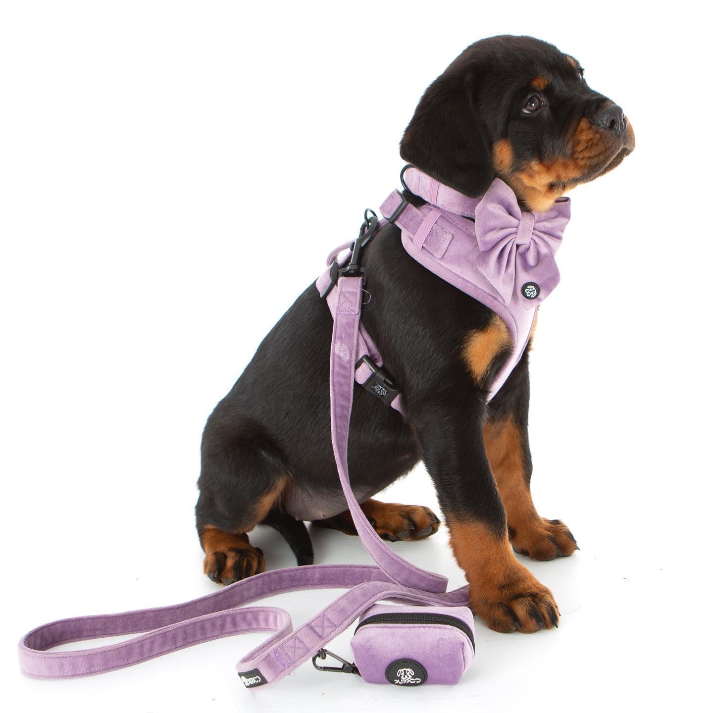 Lilac Velvet Harness Bundle