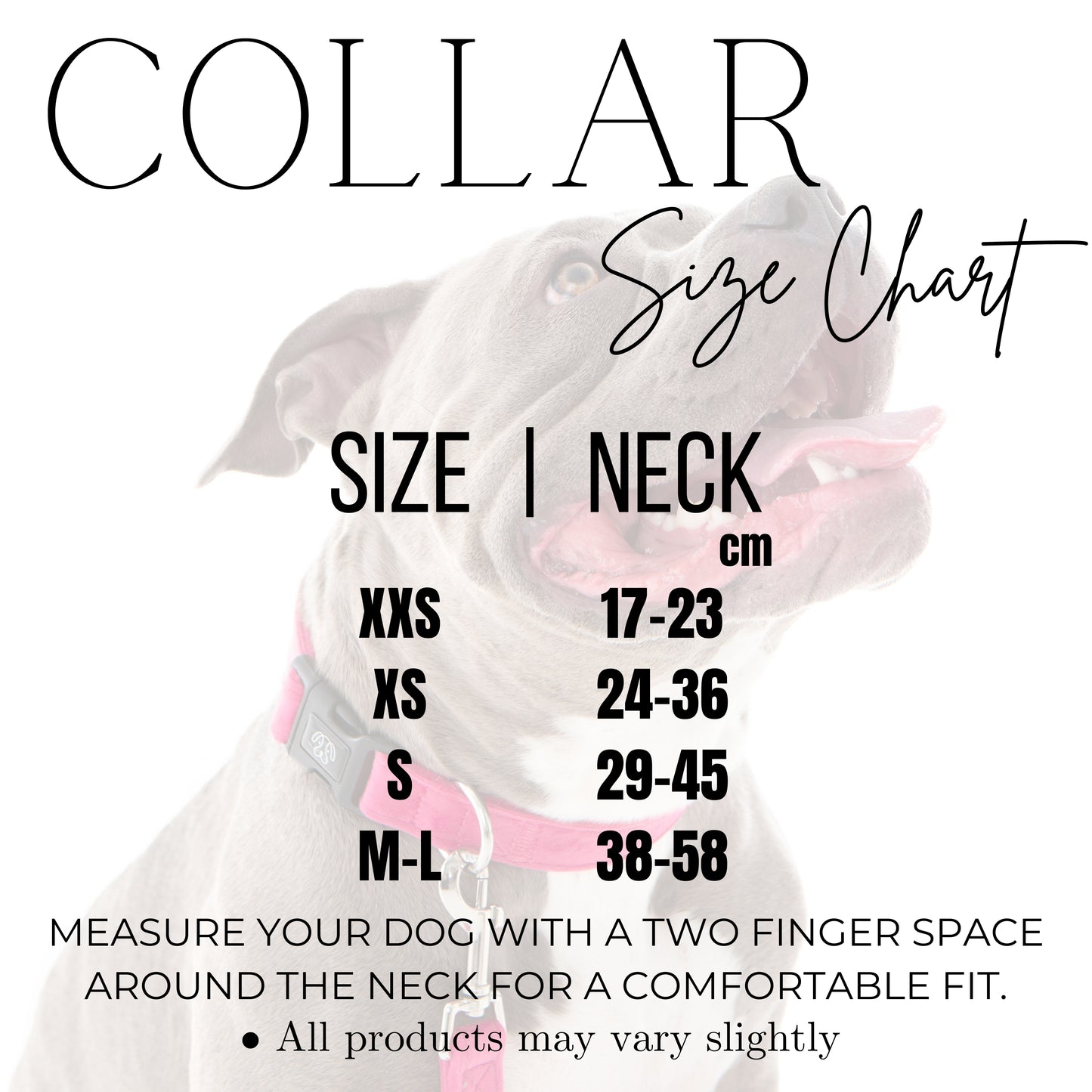 PINK Velvet Collar