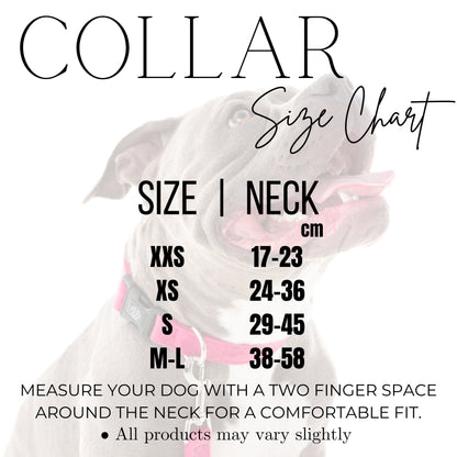 PINK Velvet Collar