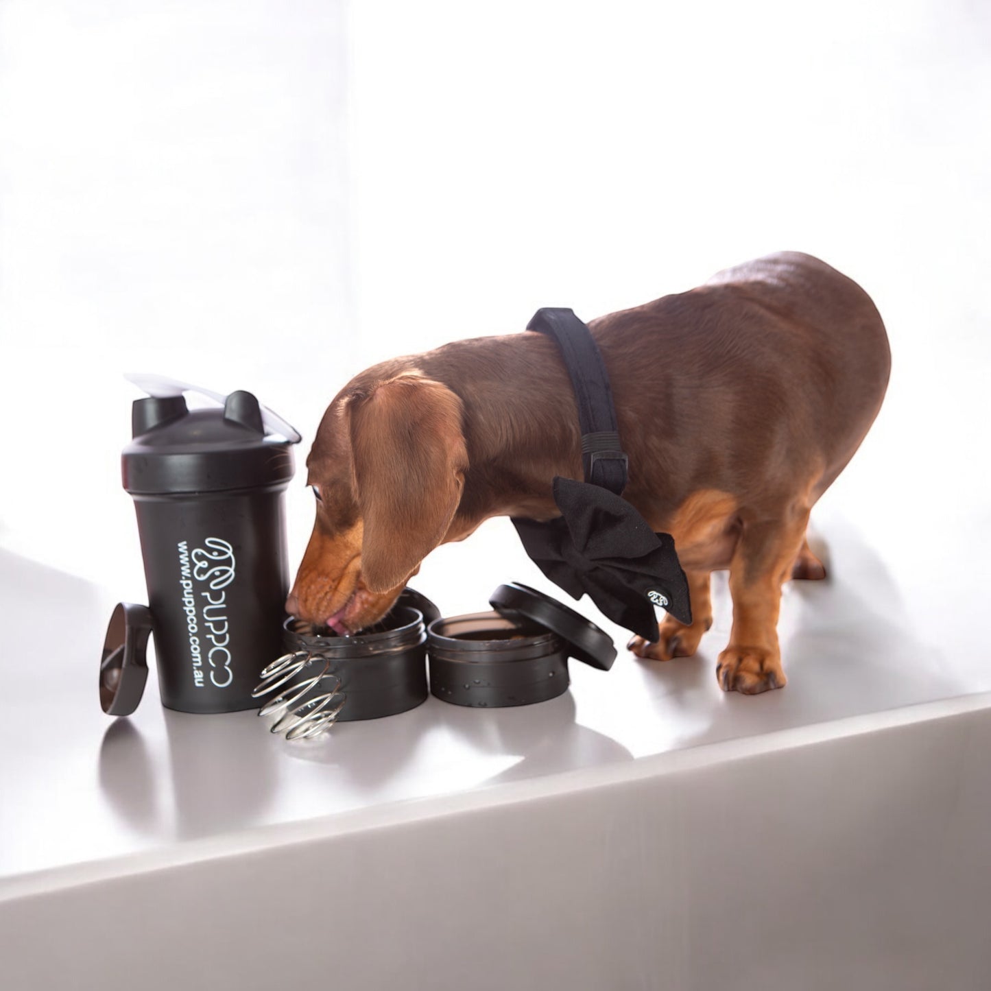 3in1 Pup Shaker