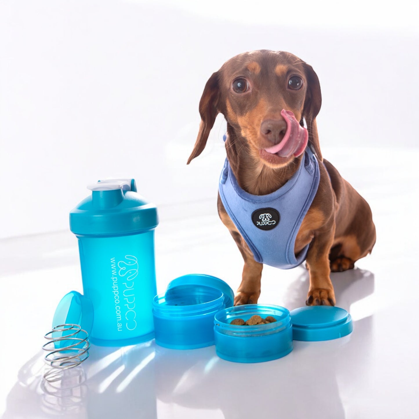 3in1 Pup Shaker