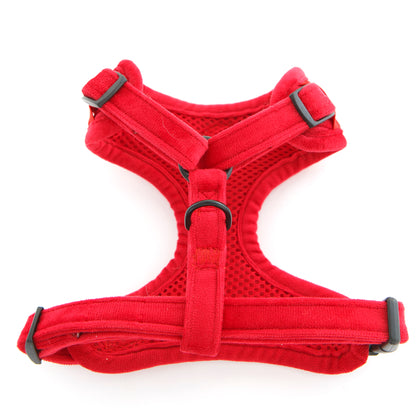 Red Velvet Dog Harness Underside view